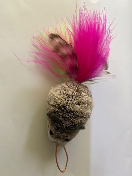 Feather Mouse